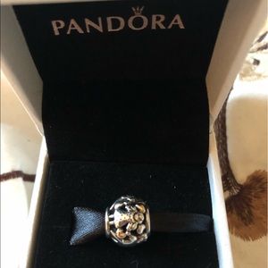 Pandora family two tone charm